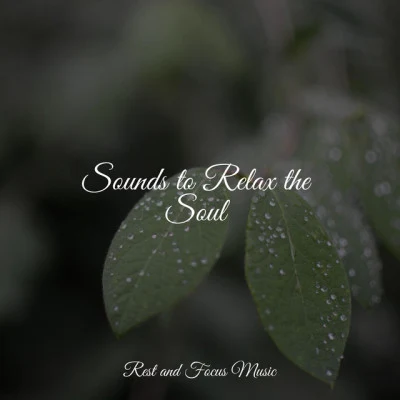 Sounds to Relax the Soul 專輯 Meditation Relaxation Club