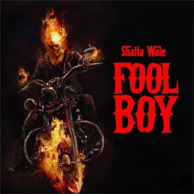 Fool Boy 專輯 Shatta Wale