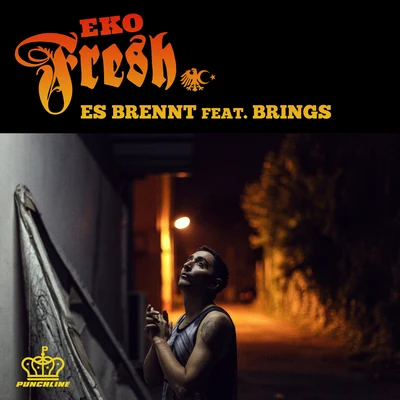 Es brennt 專輯 Eko Fresh