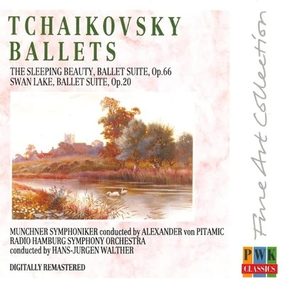 Alexander Von PitamicSouth German PhilharmonicPeter Tchaikovsky Tchaikovsky: The Sleeping Beauty & Swan Lake