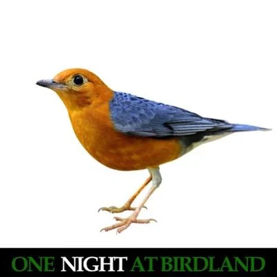 One Night at Birdland (Live) 專輯 Bud Powell/Sonny Stitt/J.J. Johnson