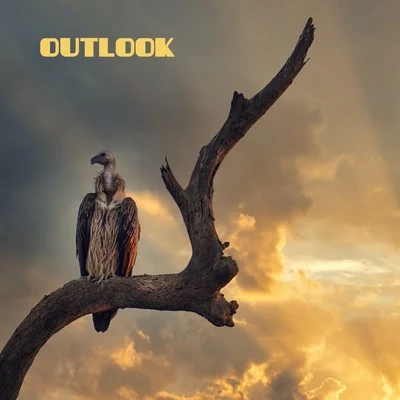 Outlook 专辑 Relaxing Acoustic Guitar