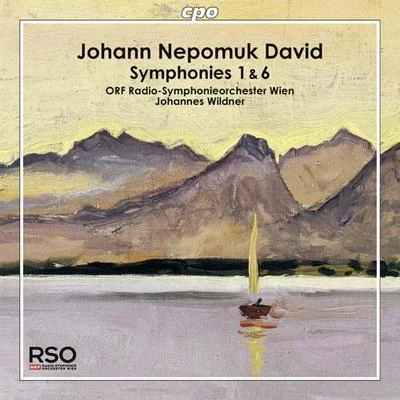 DAVID, J.N.: Symphonies Nos. 1 and 6 (Vienna Radio Symphony, Wildner) 專輯 Vienna Radio Symphony Orchestra/Enrico Caruso/Giulio Setti