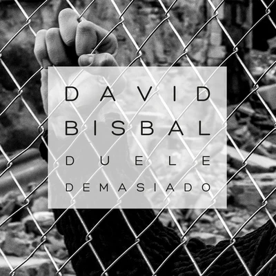 David BisbalDanna Paola Duele Demasiado