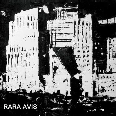 Rare Avis 专辑 Ken Vandermark/Prins Thomas/Joe McPhee/Peter Brotzmann Chicago Tentet