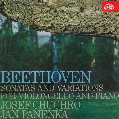 Beethoven: Sonatas and Variations for Cello and Piano 專輯 Jan Panenka