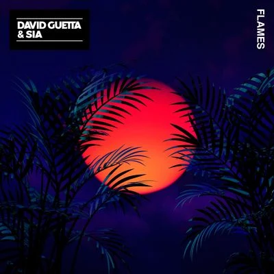 Flames 專輯 David Guetta