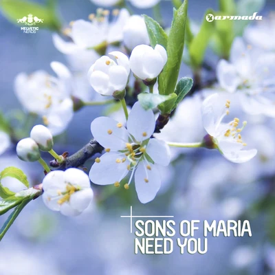 Need You 專輯 Sons Of Maria/Ben Muetsch/Freiboitar/Dbmm/Solvane