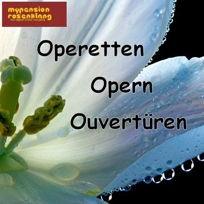 Operetten Opern Ouvertüren 專輯 Johann Strauss II