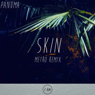 Skin (Metro Remix) 專輯 Panuma