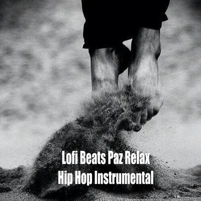 Lofi Beats Paz Relax Hip Hop Instrumental 专辑 NIDO-LOFI/ChillHop Beats/High-Ranking instrumentals