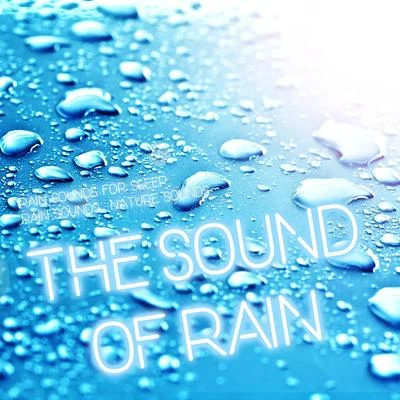 The Sound of Rain 专辑 Rain Sounds