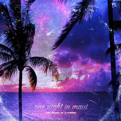 One Night In Maui 专辑 DJ.Fresh/J. Stalin/The Worlds Freshest