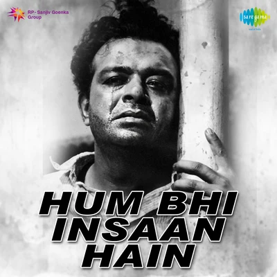 Hum Bhi Insaan Hain 專輯 Hemant Kumar