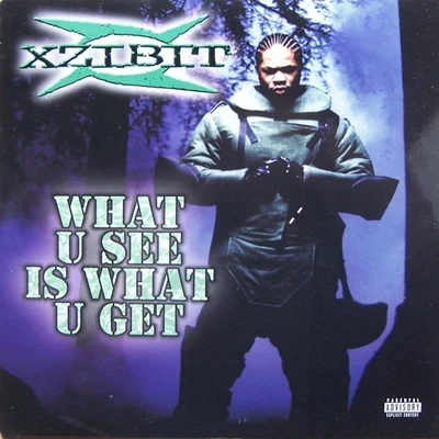 Xzibit What U See Is What U Get