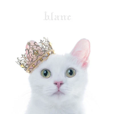 BEST SELECTION "blanc" 專輯 Aimer/SawanoHiroyuki[nZk]/澤野弘之