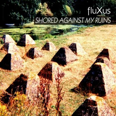 Shored Against My Ruins 專輯 FLUXUS