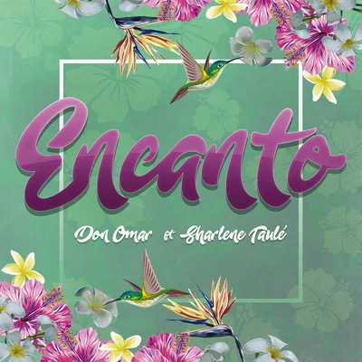 Encanto 專輯 Don Omar