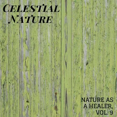 Celestial Nature - Nature As A Healer, Vol. 9 專輯 White Noise Meditation/Relax Ambience