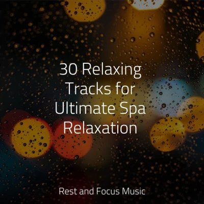 30 Relaxing Tracks for Ultimate Spa Relaxation 專輯 Oasis de Détente et Relaxation/Mindfullness Meditation World/Piano Music Reflection