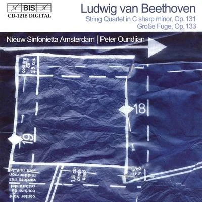 BEETHOVEN: String Quartet No. 14, Op. 131Grosse Fuge, Op. 133 专辑 Patricia Kopatchinskaja/Amsterdam Sinfonietta/Anja Lechner/Candida Thompson