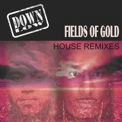 Fields of Gold (Remixes) 專輯 Down Low