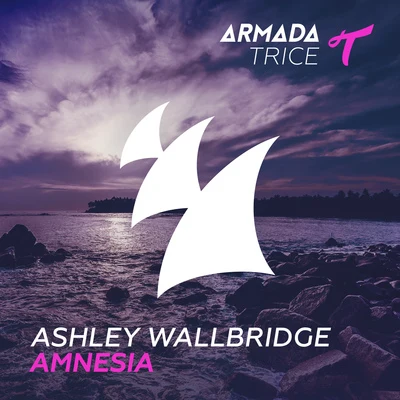 Ashley WallbridgeBodine Amnesia