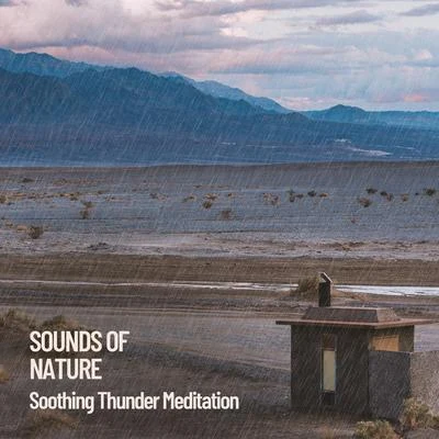 Sounds of Nature: Soothing Thunder Meditation 專輯 Relaxation And Meditation/Rest & Relax Nature Sounds Artists