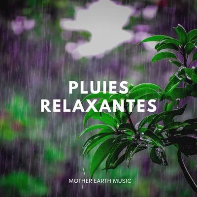 Pluies Relaxantes 專輯 Zen Méditation Ambiance