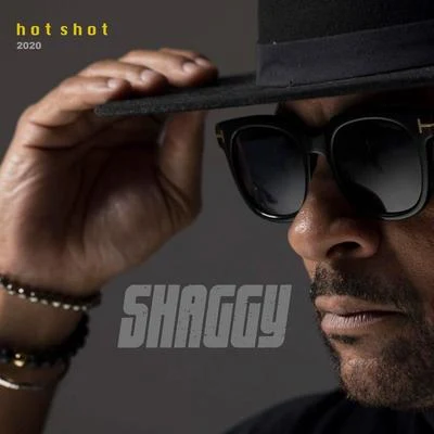 Hot Shot 2020 (Deluxe) 专辑 Alex Sensation/Shaggy/Juan Magan/Alvaro Soler/Marielle Hazlo