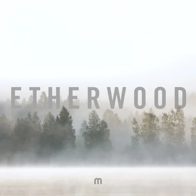 Climbing (Radio Edit) 專輯 Etherwood