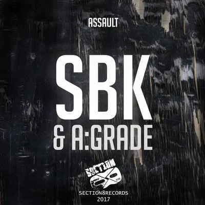 Assault 专辑 Geoblu/SBK/Kamakaze/Manga Saint Hilare