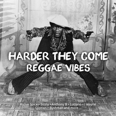 Harder They come Reggae Vibes 专辑 Anthony B/Beenie Man/Charly Black/808 Delavega/Emiz