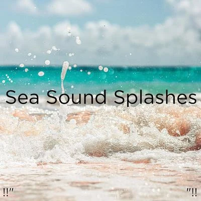 !!" Sea Sound Splashes "!! 专辑 Ocean Waves for Sleep