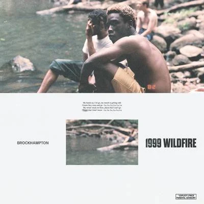 1999 WILDFIRE 專輯 BROCKHAMPTON