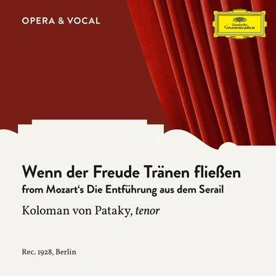 Mozart: Die Entführung aus dem Serail: Wenn der Freude Tränen fließen 專輯 Gianni Poggi/Unknown Orchestra/Ernest Nicelli