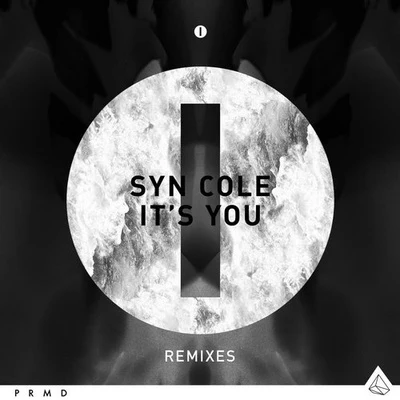 Its You (Remixes) 專輯 Syn Cole/Tensnake/Roxanne Emery/Lost Frequencies/Tiggi Hawke