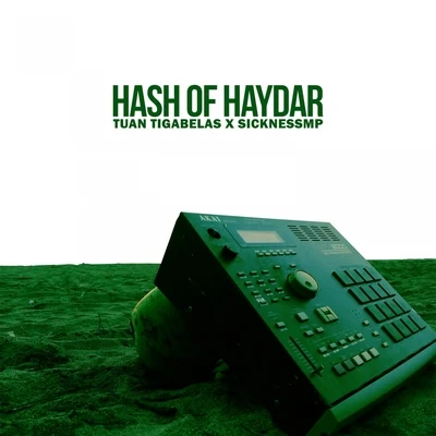 Hash Of Haydar 专辑 Tuantigabelas