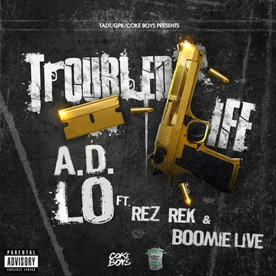 Troubled Life (feat. Rez Rek & Boomie Live) 專輯 Rez Rek