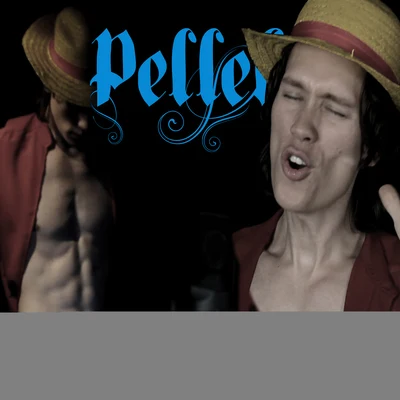 PelleKs One Piece Medley 專輯 PelleK