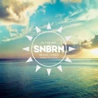 In The Air (SNBRN Remix) 专辑 SNBRN/Madalen Duke