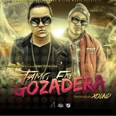 Tamo en Gozadera (Radio Edit) [feat. Randy Nota Loka] 專輯 Randy Nota Loka