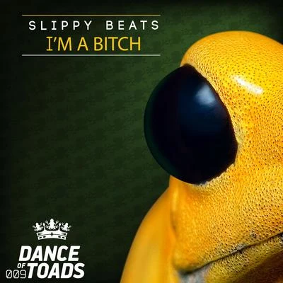 Im A ***** 專輯 Slippy Beats/Reat Kay/Andrea Tufo/Amoon/Nicky Jones