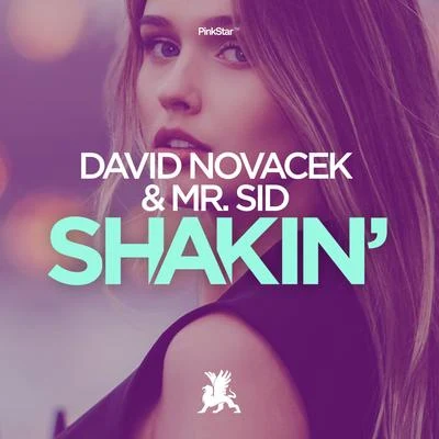 Shakin&#x27; 专辑 David Novacek/Jon Costa