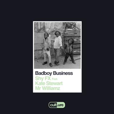 Badboy Business 專輯 Shy FX