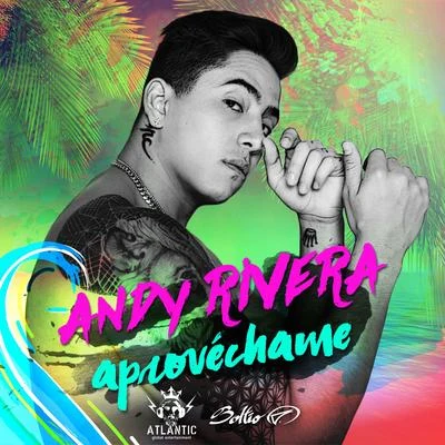 Aprovéchame 專輯 Totoy El Frio/Andy Rivera