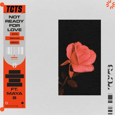 Not Ready For Love (Sam Girling Remix) 專輯 TCTS/Mario Ochoa/Copy Paste Soul/Slam/Howling