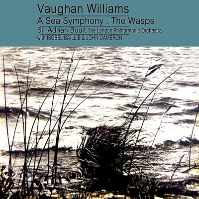 Williams: A Sea SymphonyMusic from the Wasps 專輯 John Cameron