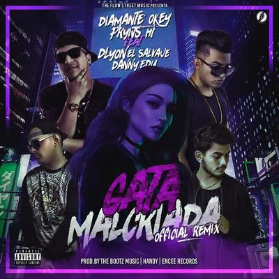 Gata Malcriada (Remix) 专辑 Piriboy/Danny edu