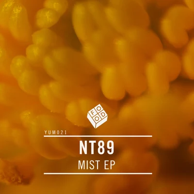 Mist EP 專輯 NT89